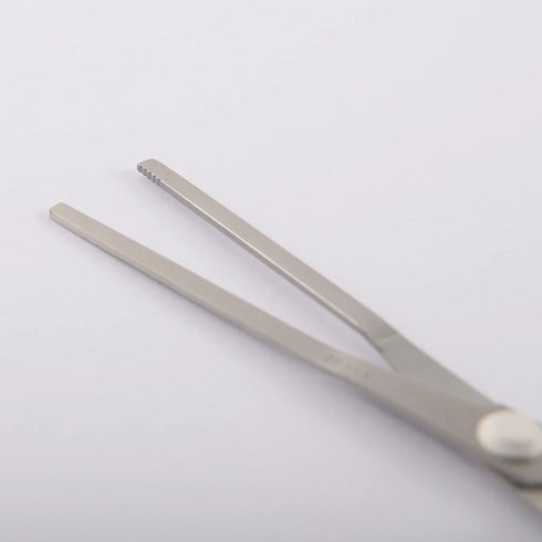 れとらくはさみ