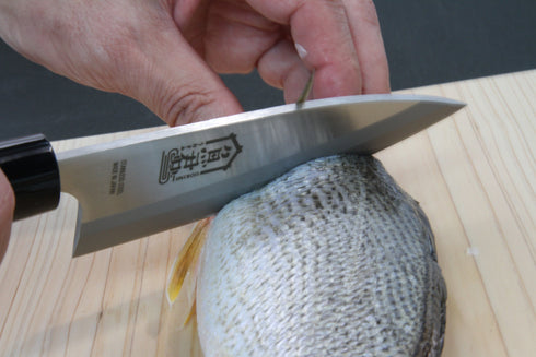 \さかなくんプロデュース/出刃包丁 柳刃包丁ステンレス | ウロコ取り 魚 骨抜き 関の刃物 万能ハサミ 5点セット