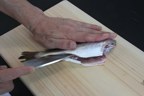 \さかなくんプロデュース/出刃包丁 柳刃包丁ステンレス | ウロコ取り 魚 骨抜き 関の刃物 万能ハサミ 5点セット