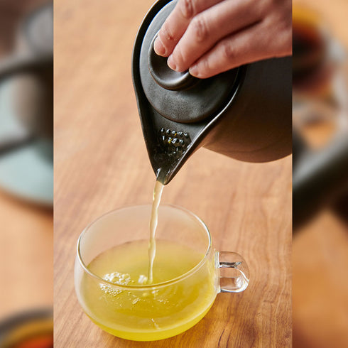 Heat-resistant pottery multi-pot | Panda Shokudo